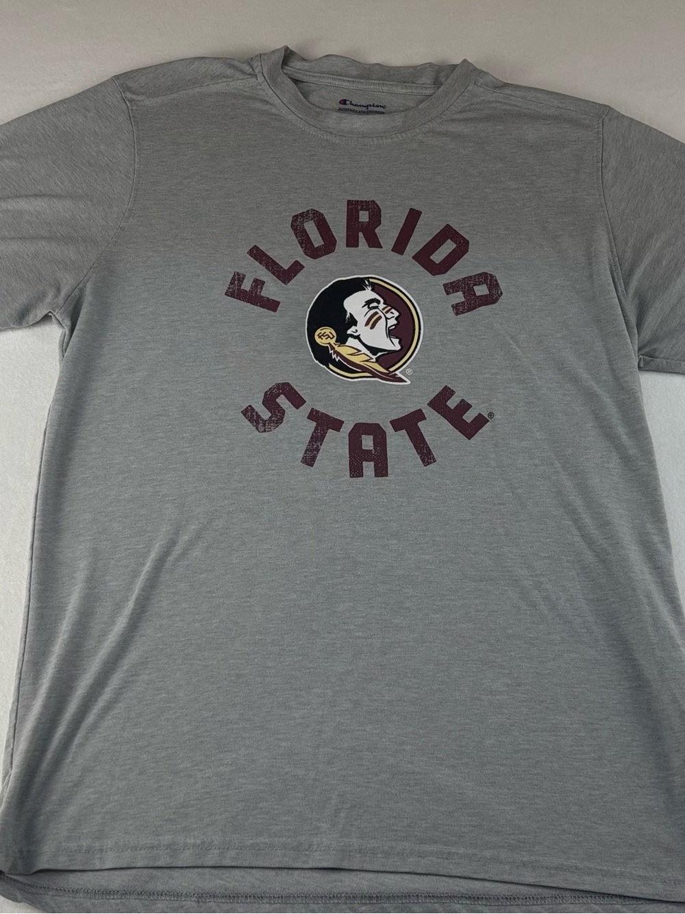 Champion Gray Florida State Graphic Tee with Team Crest